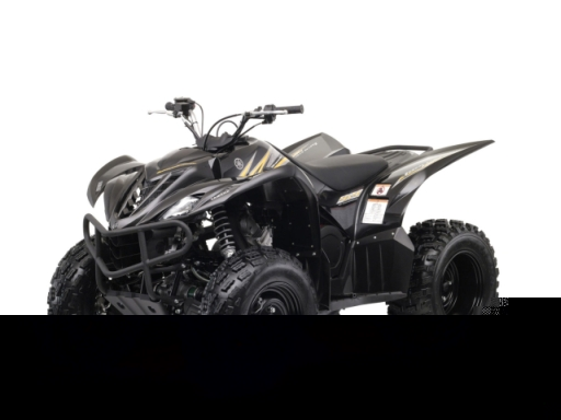 2009_YAMAHA_Wolverine_450_ATV-pictures_5.jpg